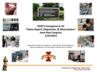 PEDV’s Emergence in US
“Status Report, Diagnostics, & Observations”
Iowa Pork Congress
1/22/2014

Department of Veterinary Diagnostic and Production Animal Medicine,
Veterinary Diagnostic Lab, Iowa State University, Ames, IA 50011

Veterinary Diagnostic Laboratory
Iowa State University

 
