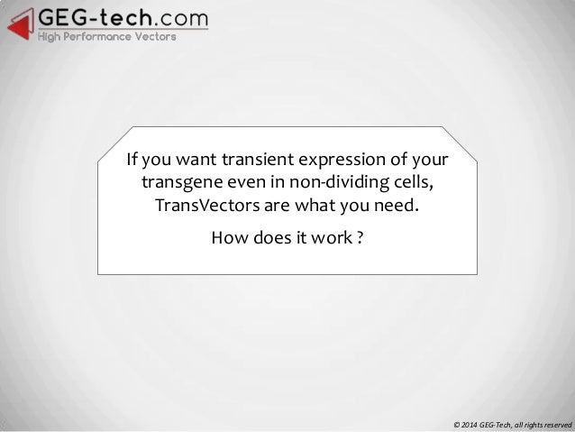 Three types of Lentiviral Vectors - by GEG-tech.com