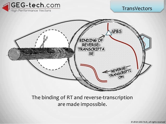 Three types of Lentiviral Vectors - by GEG-tech.com