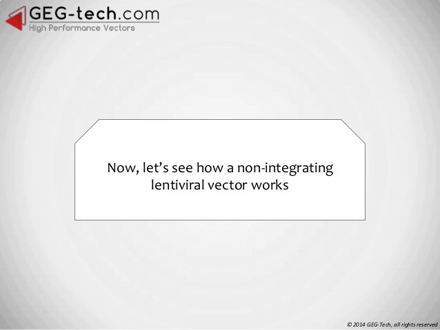 Three types of Lentiviral Vectors - by GEG-tech.com