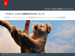 html5j TV部会 勉強会 | 2014.01.23

「HTML5」における動画DRMのゆくえとか
太田禎一 | アドビ システムズ 株式会社 デジタルメディア ビジネス開発部

© 2012 Adobe Systems Incorporated. All Rights Reserved. Adobe Confidential.

Photo: Tenner Ford http://www.flickr.com/photos/moon-dog/

 