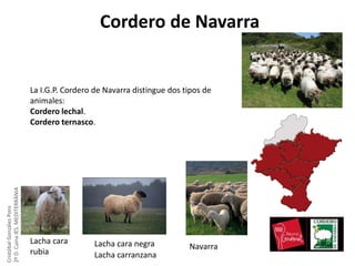 Cordero de Navarra

Cristóbal González Pons
2º D. Cuina IES. MEDITERRÀNIA

La I.G.P. Cordero de Navarra distingue dos tipos de
animales:
Cordero lechal.
Cordero ternasco.

Lacha cara
rubia

Lacha cara negra
Lacha carranzana

Navarra

 