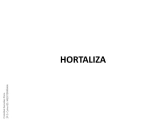 Cristóbal González Pons
2º D. Cuina IES. MEDITERRÀNIA

HORTALIZA

 