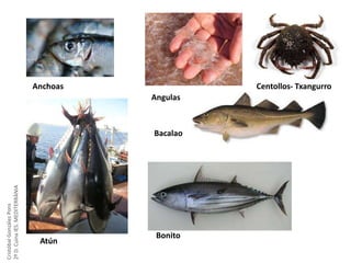 Cristóbal González Pons
2º D. Cuina IES. MEDITERRÀNIA

Anchoas

Atún
Centollos- Txangurro

Angulas

Bacalao

Bonito

 