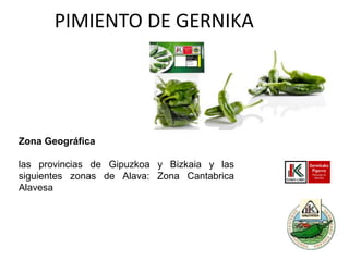 PIMIENTO DE GERNIKA

Zona Geográfica
las provincias de Gipuzkoa y Bizkaia y las
siguientes zonas de Alava: Zona Cantabrica
Alavesa

 
