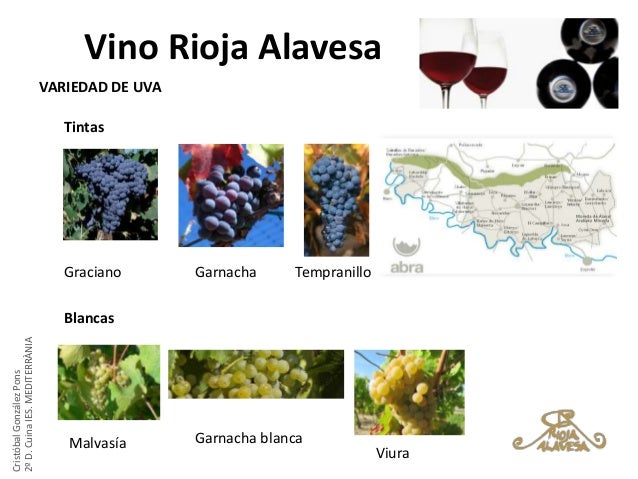 GASTRONOMIA DEL PAIS VASCO
