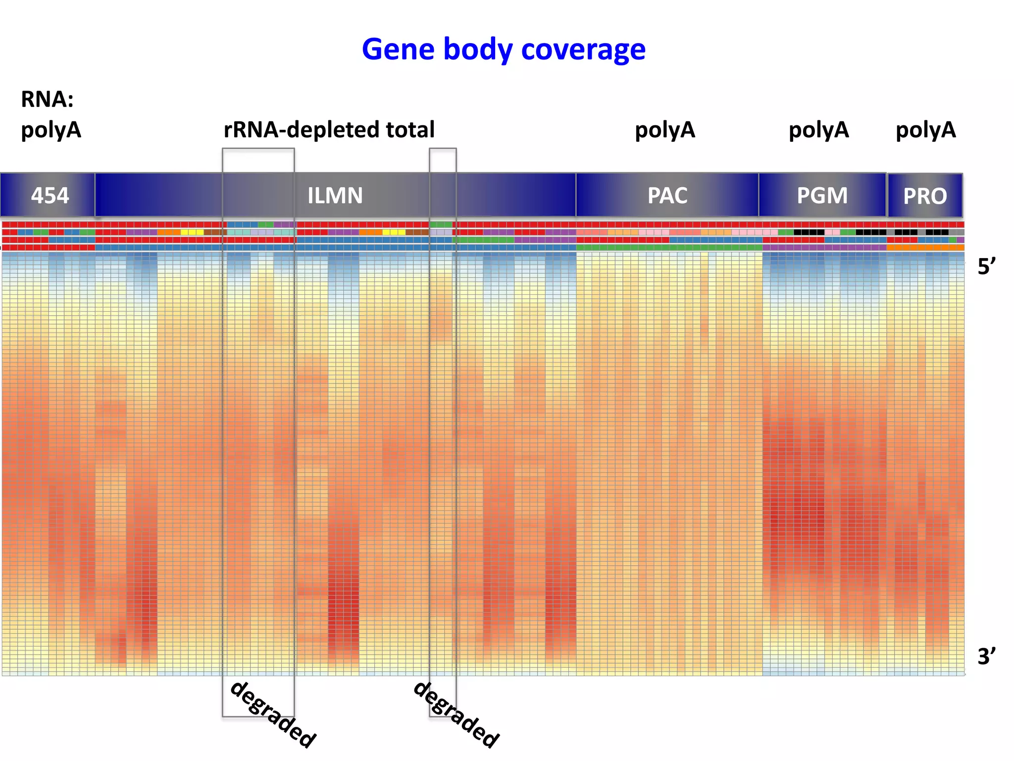Gene body coverage
RNA:
polyA
rRNA-depleted total
polyA
polyA
polyA
454
ILMN
PAC
PGM
PRO
5’
3’