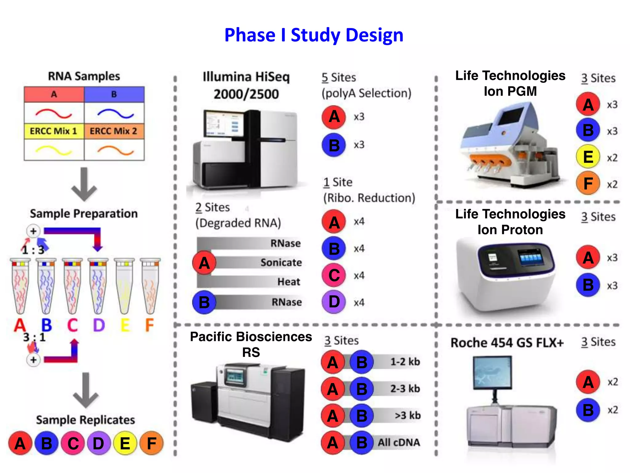 Phase I Study Design