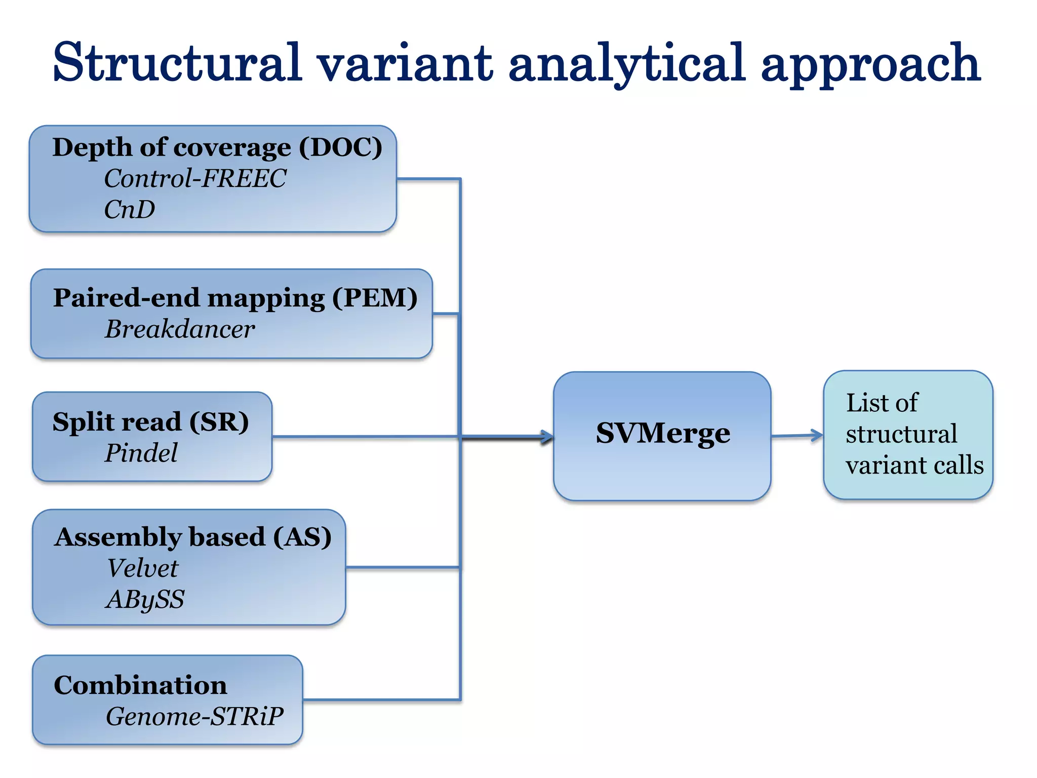 Structural variant analytical approach
Depth of coverage (DOC)
Control-FREEC
CnD
Paired-end mapping (PEM)
Breakdancer
Split read (SR)
Pindel
Assembly based (AS)
Velvet
ABySS
Combination
Genome-STRiP

SVMerge

List of
structural
variant calls

 