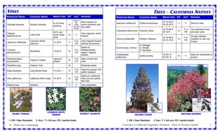 VINES                                                                                                                                                TREES - CALIFORNIA NATIVES
                                                                 1          2
Botanical Name        Common Name             Mature Size DR          Sun        Remarks                   Botanical Name           Common Name               Mature Size DR1     Sun2    Remarks
                                                                      Plant in
                                                                        sun,      More tolerant of                                                            Ht 10-20 ft.
                                              6-10 ft fast                                                 Aesculus californica     California Buckeye                       Y      F     Shrub or tree
Clematis texensis     Scarlet Celmatis                       N         roots      warm summers and                                                            W 20-30 ft.
                                              growing                like cool    low water
                                                                       shade
                                                                                                                                                              Ht 75-90 ft.         F or   Can withstand heat
                                                                                                           Calocedrus decurrens Incense Cedar                                N
                                              40 ft. can                                                                                                      W 15 ft.             PS     and poor soils
Fallopia                                                                          Very vigorous, white
                      Lace Vine               cover large    N          F
baldschuanica                                                                     flowers                                                                                                 All year interest;
                                              area                                                                                                            Ht 75-90 ft.         F or
                                                                                                           Cercis occidentalis      Western Redbud                           N            resistant to oak root
                      Common White                                    F to        Very fragrant flowers;                                                      W 10-18 ft.          PS
Jasminum officinale                           To 30 ft.      Y                                                                                                                            fungus
                      Jasmine                                         PS          blooms all summer
                                                                                                                                    Q. kelloggii
                                                                                  Native to                Quercus spp. (many)      Q. llobata
Lonicera                                                              F to        Mediterranean                                     Q. doudlasii
                      Woodbine                10-20 ft.      N
periclymenum                                                          PS          region; fragrant
                                                                                  flowers                  Umbellularia                                       Ht 25+ ft.                  Mass for windbreak or
                                                                                                                                    California Bay                           N      F
                                                                                                           californica                                        W 25+ ft.                   screen
Parthenocissus                                vigorous                F to        Nice crimson fall
                      Virginia Creeper                       N
quinquefolia                                  grower                  PS          color
Passiflora spp.       Passion Vine                           N                    Moderate water
                                                                      F to        Vigorous grower and
Rosa banksiae         Lady Banks Rose         To 20 ft. +    N
                                                                      PS          aphid resistant
                                                                                  Native to California;
                                                                      F to
Vitis californica     California Wild Grape   To 30 ft.      N                    Nice red and yellow
                                                                      PS
                                                                                  fall color
Wisteria ssp.         Wisteria                               Y          F        Very adaptable




                                         COMMON WHITE
       Beard tongue                         jASMINE                              Scarlet Clematis                                Incense cedar                                   Western Redbud

  1. DR = Deer Resistant    2. Sun: F = full sun, PS = partial shade                                                 1. DR = Deer Resistant          2. Sun: F = full sun, PS = partial shade

  10    Water-wise Landscaping                                                                                   University of California Cooperative Extension - Placer & Nevada Counties                        7
 