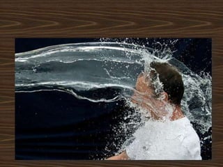 VastgoedPRO cafe: Slimme tips en tricks voor makelaars om huizen sneller te verkopen