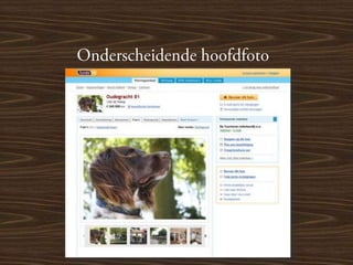 VastgoedPRO cafe: Slimme tips en tricks voor makelaars om huizen sneller te verkopen