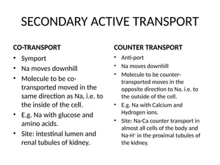 SECONDARY ACTIVE TRANSPORT
CO-TRANSPORT
• Symport
• Na moves downhill
• Molecule to be co-
transported moved in the
same direction as Na, i.e. to
the inside of the cell.
• E.g. Na with glucose and
amino acids.
• Site: intestinal lumen and
renal tubules of kidney.
COUNTER TRANSPORT
• Anti-port
• Na moves downhill
• Molecule to be counter-
transported moves in the
opposite direction to Na, i.e. to
the outside of the cell.
• E.g. Na with Calcium and
Hydrogen ions.
• Site: Na-Ca counter transport in
almost all cells of the body and
Na-H+
in the proximal tubules of
the kidney.
 