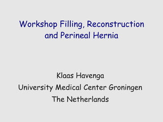 Workshop Filling, Reconstruction and Perineal Hernia Klaas Havenga University Medical Center Groningen The Netherlands 