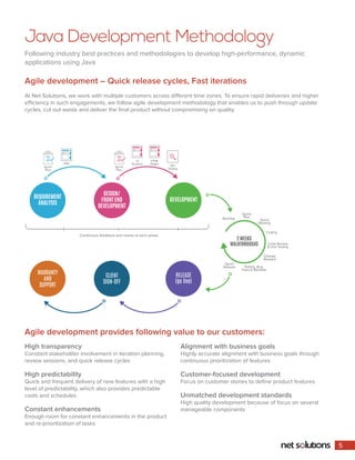 Net Solutions JAVA Development Brochure | PDF