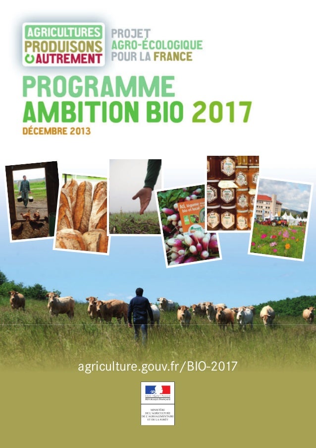 Comment Fonctionne Le Programme Régional De Développement De L ...