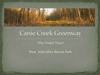 (The Vrabel Tract)

West Asheville’s Newest Park

 