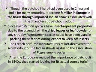 Parchula Insect Production technology and economics of cultivation for Patchouli | PPTX