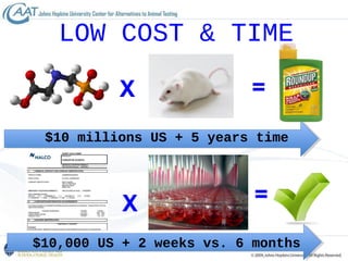 Animal Testing Price Animal Testing - Science or Tradition | PPT