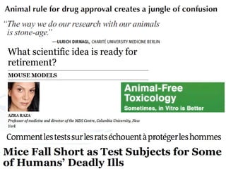 Animal Testing - Science or Tradition | PPT