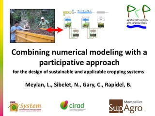 Combining numerical modeling with a
participative approach
for the design of sustainable and applicable cropping systems

Meylan, L., Sibelet, N., Gary, C., Rapidel, B.

1

 