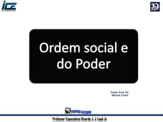 Professor Especialista Ricardo J. J. Laub Jr.
 