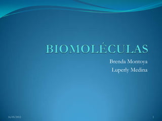 Brenda Montoya
              Luperly Medina




16/05/2012                     1
 