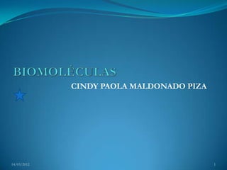 CINDY PAOLA MALDONADO PIZA




14/03/2012                                1
 