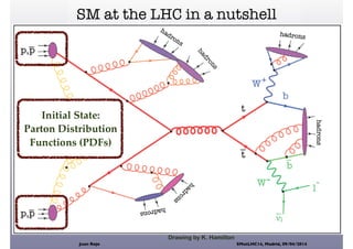 Parton Distribution Function Parton Distributions and Standard Model Physics at the LHC | PDF