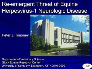 Re-emergent Threat of Equine
Herpesvirus-1 Neurologic Disease
Peter J. Timoney
Department of Veterinary Science
Gluck Equine Research Center
University of Kentucky, Lexington, KY 40546-0099
 