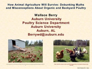 How Animal Agriculture Will Survive: Debunking Myths
and Misconceptions About Organic and Backyard Poultry
Wallace Berry
Auburn University
Poultry Science Department
Auburn University
Auburn, AL
Berrywd@auburn.edu
NIAA Omaha 2014 - Berry
http://www.the-chicken-chick.com/2012/12/quarantine-of-backyard-chickens-why-
and.html
http://seattletimes.com/html/picturethis/2013043103_thenewchickendebatecagefreeandorganicorother.ht
ml
 