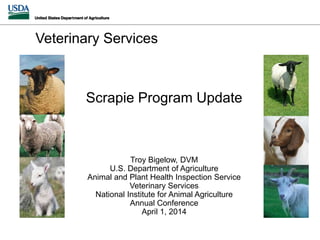 Scrapie Program Update
Troy Bigelow, DVM
U.S. Department of Agriculture
Animal and Plant Health Inspection Service
Veterinary Services
National Institute for Animal Agriculture
Annual Conference
April 1, 2014
Veterinary Services
 
