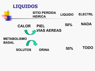LIQUIDOS
METABOLISMO
BASAL
CALOR
SOLUTOS
PIEL
VIAS AEREAS
ORINA
SITIO PERDIDA
HIDRICA
LIQUIDO ELECTRL
50% NADA
50% TODO
 