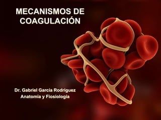 MECANISMOS DE
COAGULACIÓN
Dr. Gabriel García Rodríguez
Anatomía y Fiosiología
 