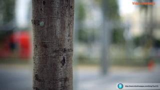 Vídeo referência
http://www.intuitiveappz.com/blog/?p=310
 