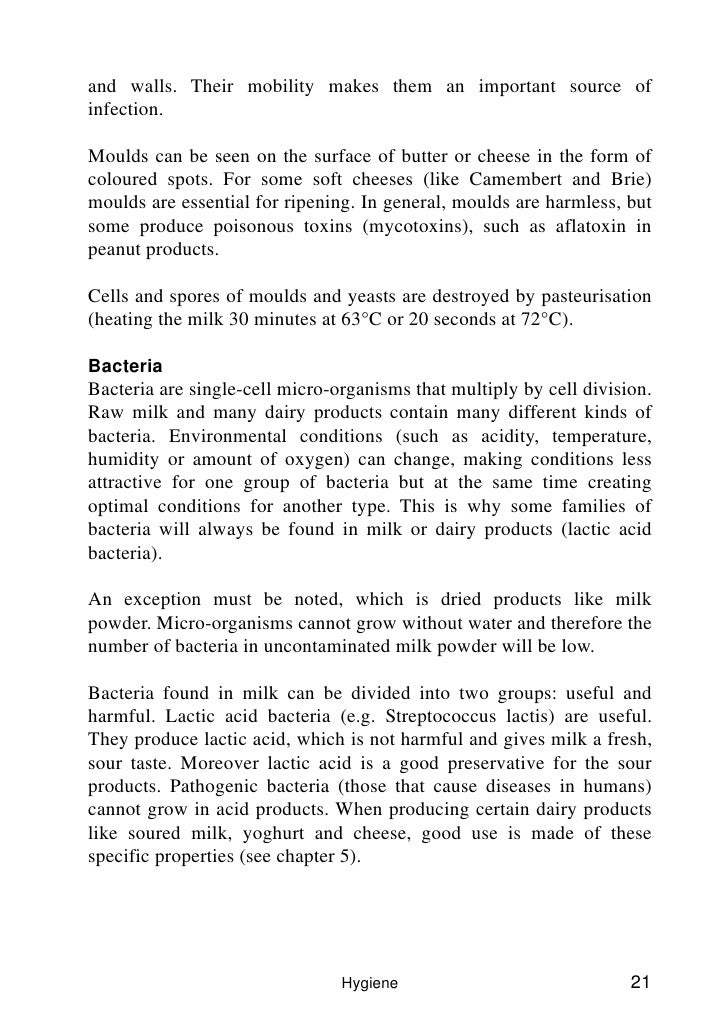 short descriptive essay holi