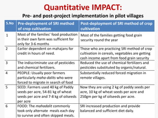 1405 scaling up system of rice intensificaiton and swi in bihar, india ...