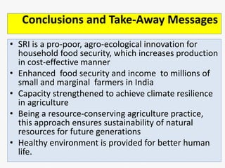 Conclusions and Take-Away Messages 
• SRI is a pro-poor, agro-ecological innovation for 
household food security, which in...