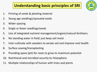 Understanding basic principles of SRI 
1. Priming of seeds & planting material 
2. Young age seedlings/sprouted seeds 
3. ...