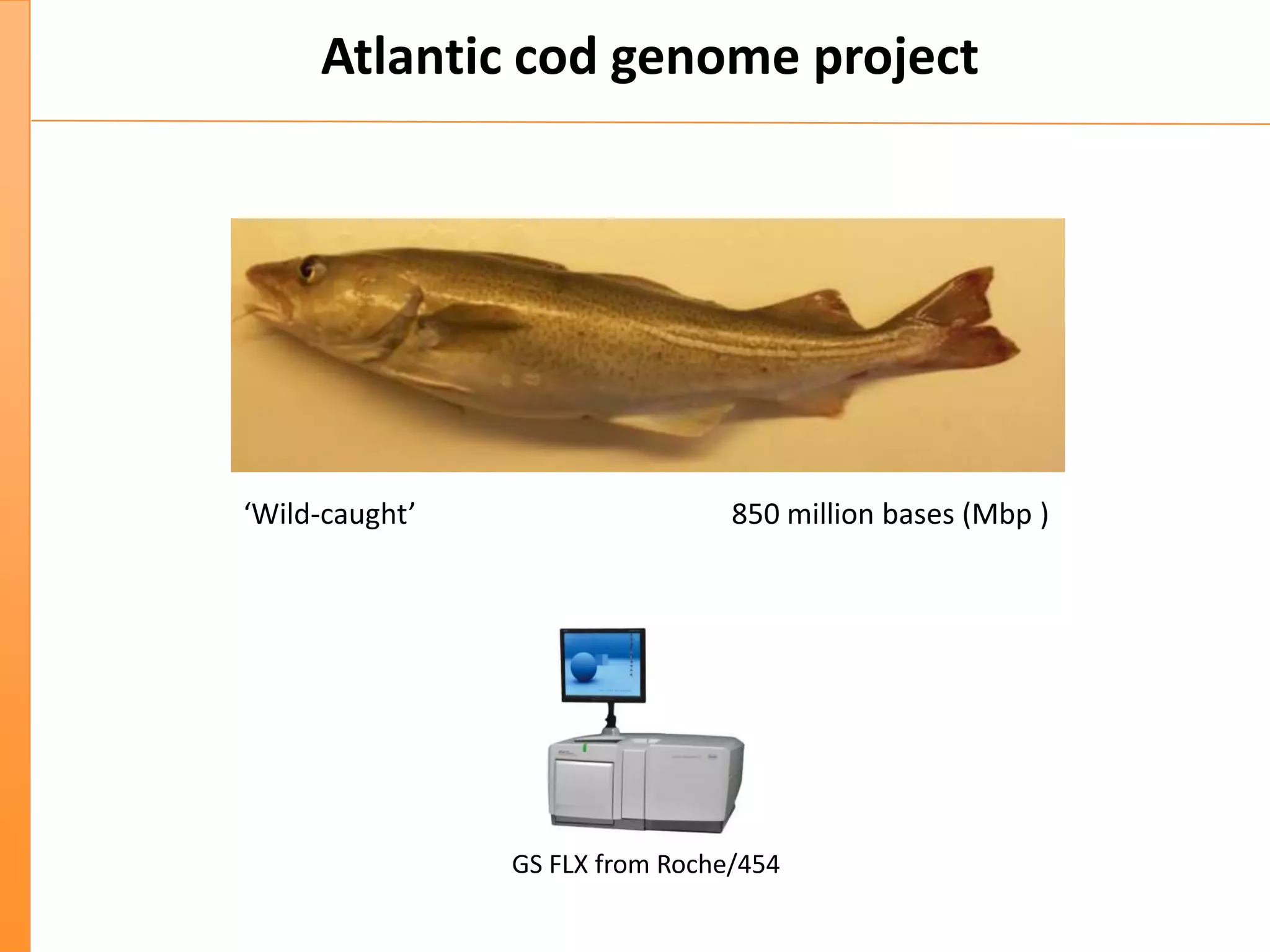 Atlantic cod genome project
850 million bases (Mbp )‘Wild-caught’
GS FLX from Roche/454
