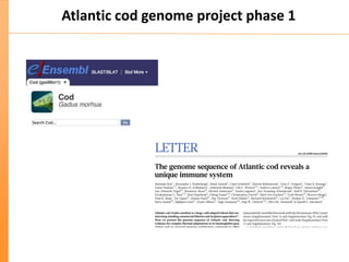 Atlantic cod genome project phase 1
 