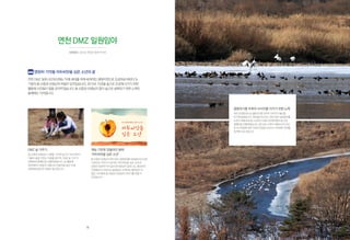 DMZ 숲 가꾸기
故 신중관 선생님이 고향을 그리며 심으신 자두씨앗이
더불어 숲을 이루는 미래를 꿈꾸며, ‘DMZ 숲 가꾸기-
회원확대 캠페인’을 진행하였습니다. 본 활동에
참여해주신 분들의 이름으로 만들어질 숲은 미래
세대에게 풍요와 희망이 될 것입니다.
사진제공 이석우
멸종위기종 두루미 서식지를 지키기 위한 노력
연천군남댐담수로멸종위기종두루미서식지가훼손될
위기에놓였습니다.내셔널트러스트는연천DMZ 일원임야를
두루미대체서식지로조성하기위해시민참여행사및모금
캠페인을진행하였습니다.앞으로도두루미대체서식지조성
및모니터링에대한사회적관심을유도하고지자체의참여를
독려해나갈것입니다.
연천 DMZ 일원임야
시민유산 | 경기도 연천군 중면 적거리
재능 기부로 만들어진 동화
‘자두씨앗을 심은 소년’
故신중관선생님의연천DMZ 일원임야를내셔널트러스트에
기증하신 이야기가 담겨진 ‘자두씨앗을 심은 소년’은
임정진 동화작가의 글과 한서정님의 일러스트, 홍보대사
이영애님의 더빙으로 동영상과 소책자로 제작되어 더
많은 시민에게 故 신중관 선생님의 이야기를 전할 수
있었습니다.
영원히 기억될 자두씨앗을 심은 소년의 꿈
연천DMZ 일원시민유산에는'미래세대를위해세계적인생태지역으로조성하길바란다.'는
기증자故신중관선생님의바람이담겨있습니다.2013년,이곳을숲으로조성해나가기위한
활동에시민들이힘을모아주었습니다.故신중관선생님의꿈이숲으로실현되기위한노력은
올해에도이어집니다.
16
 