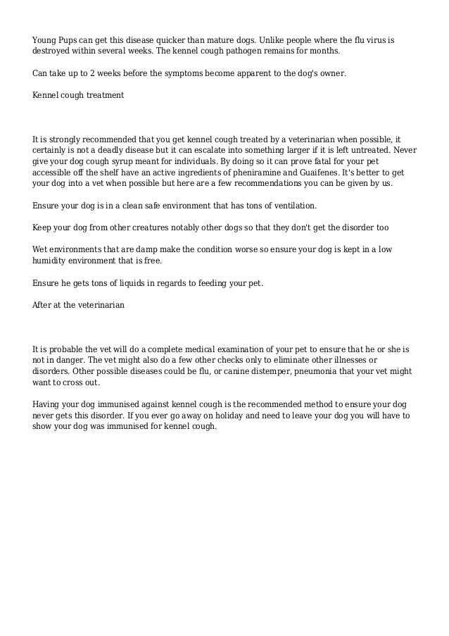 The Top 4 Most Asked Questions About Kennel Cough