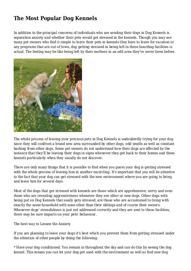 find dog kennels