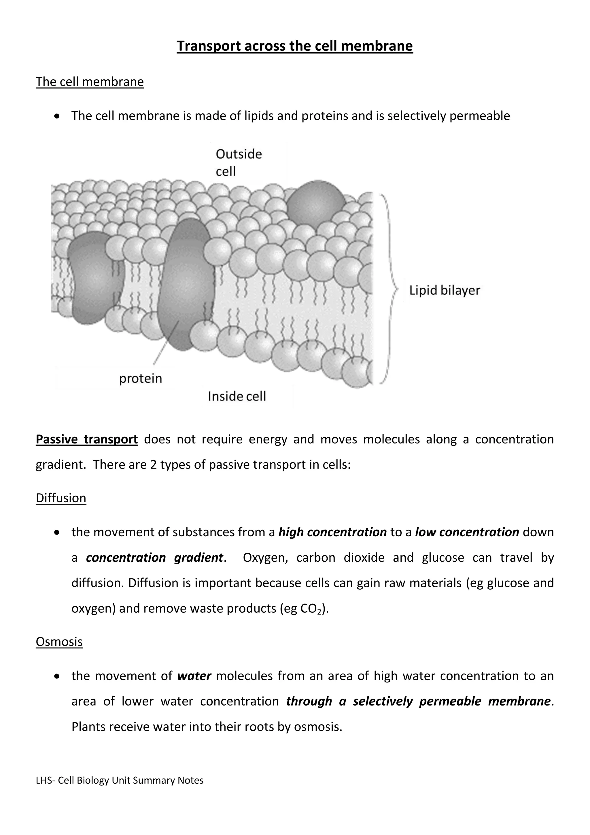 LHS- Cell Biology Unit Summary Notes
Transport across the cell membrane
The cell membrane
 The cell membrane is made of lipids and proteins and is selectively permeable
Passive transport does not require energy and moves molecules along a concentration
gradient. There are 2 types of passive transport in cells:
Diffusion
 the movement of substances from a high concentration to a low concentration down
a concentration gradient. Oxygen, carbon dioxide and glucose can travel by
diffusion. Diffusion is important because cells can gain raw materials (eg glucose and
oxygen) and remove waste products (eg CO2).
Osmosis
 the movement of water molecules from an area of high water concentration to an
area of lower water concentration through a selectively permeable membrane.
Plants receive water into their roots by osmosis.
 