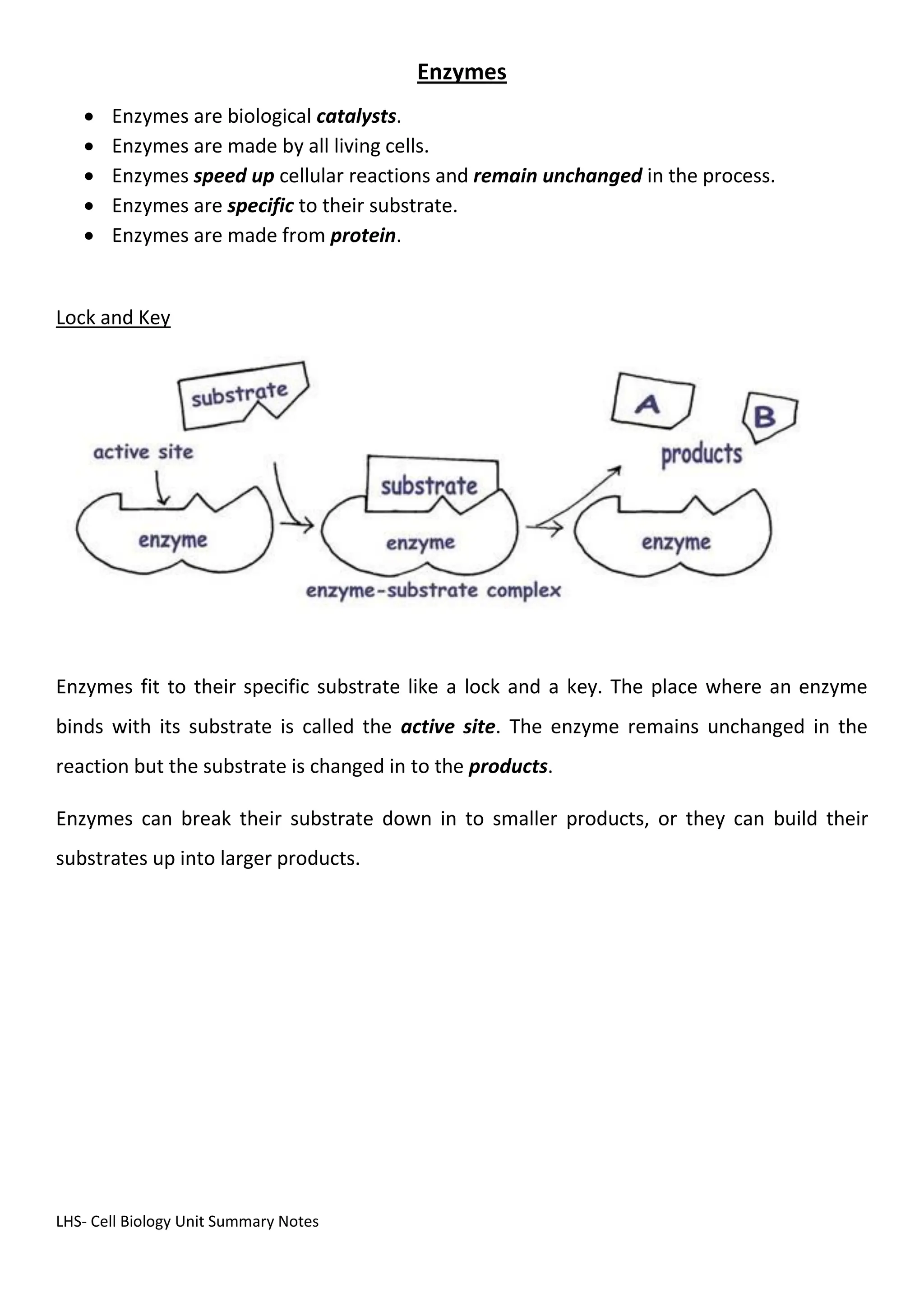 LHS- Cell Biology Unit Summary Notes
Enzymes
 Enzymes are biological catalysts.
 Enzymes are made by all living cells.
 Enzymes speed up cellular reactions and remain unchanged in the process.
 Enzymes are specific to their substrate.
 Enzymes are made from protein.
Lock and Key
Enzymes fit to their specific substrate like a lock and a key. The place where an enzyme
binds with its substrate is called the active site. The enzyme remains unchanged in the
reaction but the substrate is changed in to the products.
Enzymes can break their substrate down in to smaller products, or they can build their
substrates up into larger products.
 