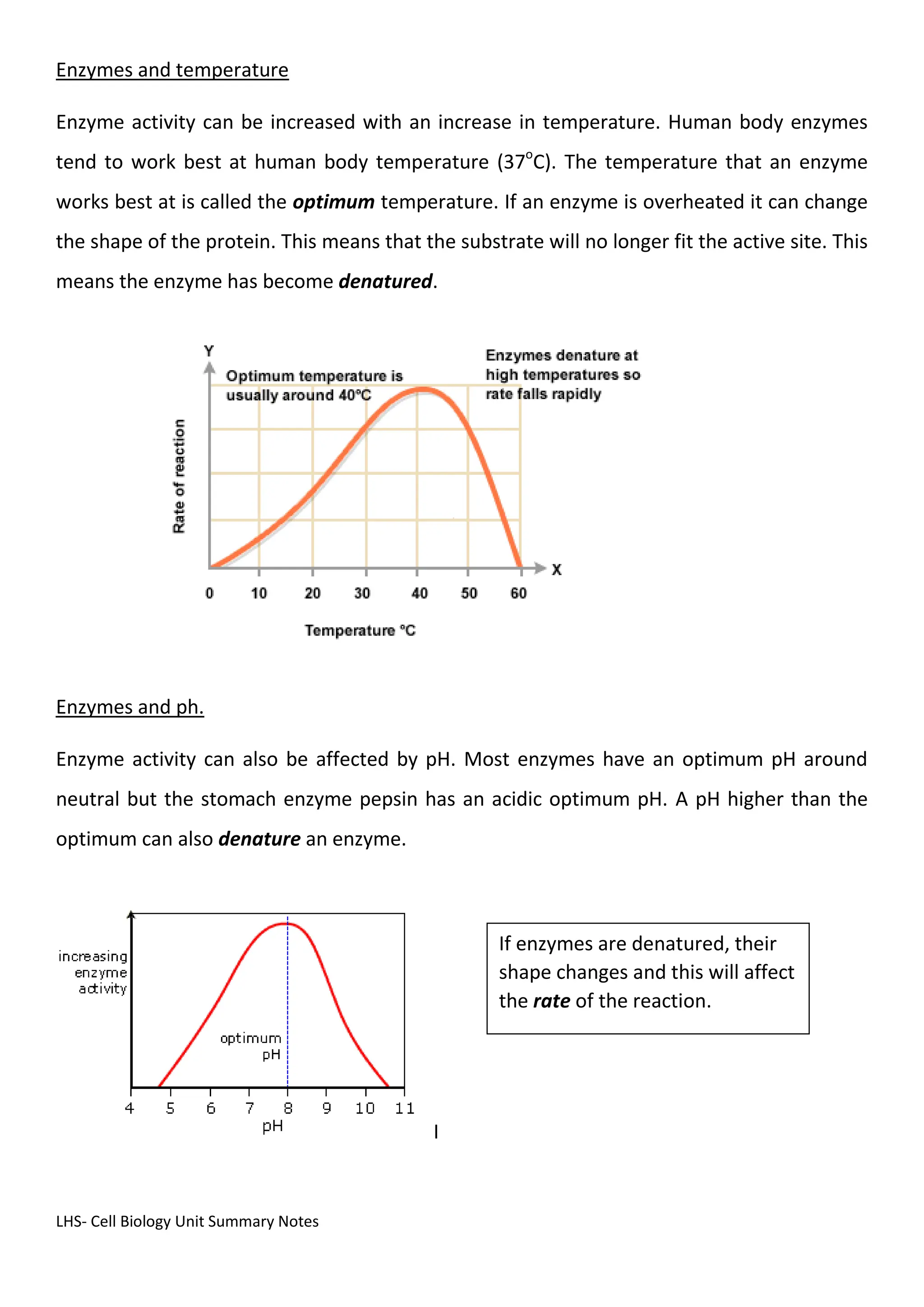 LHS- Cell Biology Unit Summary Notes
Enzymes and temperature
Enzyme activity can be increased with an increase in temperature. Human body enzymes
tend to work best at human body temperature (37o
C). The temperature that an enzyme
works best at is called the optimum temperature. If an enzyme is overheated it can change
the shape of the protein. This means that the substrate will no longer fit the active site. This
means the enzyme has become denatured.
Enzymes and ph.
Enzyme activity can also be affected by pH. Most enzymes have an optimum pH around
neutral but the stomach enzyme pepsin has an acidic optimum pH. A pH higher than the
optimum can also denature an enzyme.
I
If enzymes are denatured, their
shape changes and this will affect
the rate of the reaction.
 