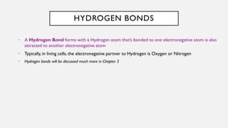 HYDROGEN BONDS
• A Hydrogen Bond forms with a Hydrogen atom that’s bonded to one electronegative atom is also
attracted to another electronegative atom
• Typically, in living cells, the electronegative partner to Hydrogen is Oxygen or Nitrogen
• Hydrogen bonds will be discussed much more in Chapter 3
 