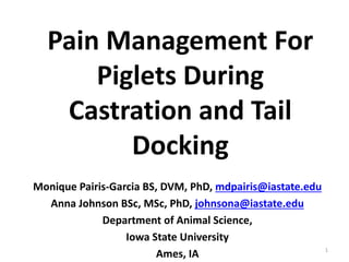 Pain Management For
Piglets During
Castration and Tail
Docking
Monique Pairis-Garcia BS, DVM, PhD, mdpairis@iastate.edu
Anna Johnson BSc, MSc, PhD, johnsona@iastate.edu
Department of Animal Science,
Iowa State University
Ames, IA 1
 