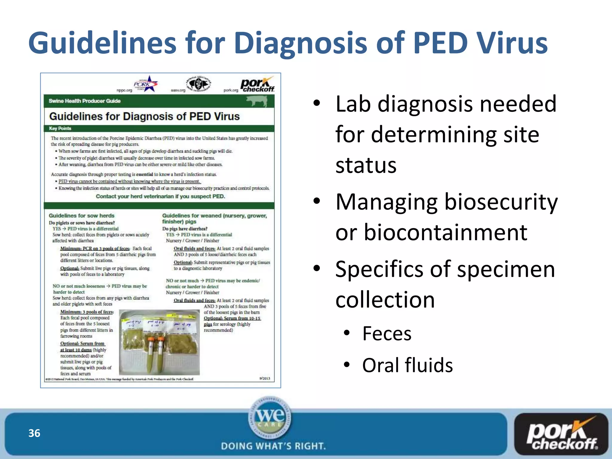 • Lab diagnosis needed
for determining site
status
• Managing biosecurity
or biocontainment
• Specifics of specimen
collection
• Feces
• Oral fluids
36
Guidelines for Diagnosis of PED Virus
 